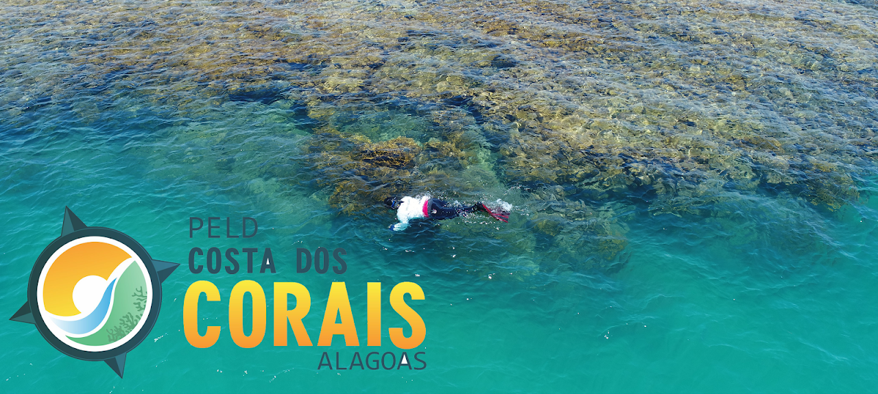 Pesquisadores do PELD Costa dos Corais realizando atividades em campo